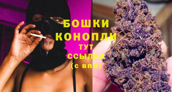 стаф Мегион