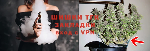 гашик Медногорск
