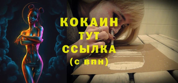 стаф Мегион