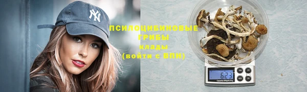 гашик Медногорск