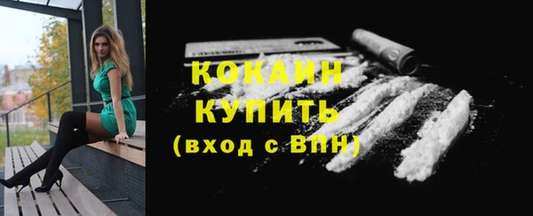 стаф Мегион