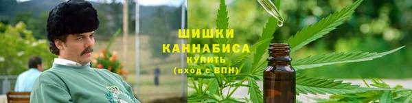 гашик Медногорск
