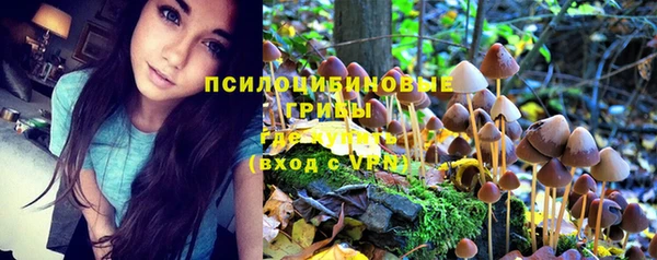 гашик Медногорск