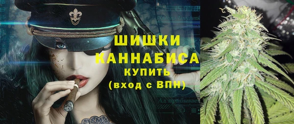 стаф Мегион