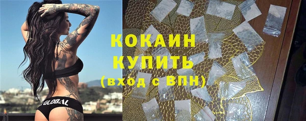 гашик Медногорск