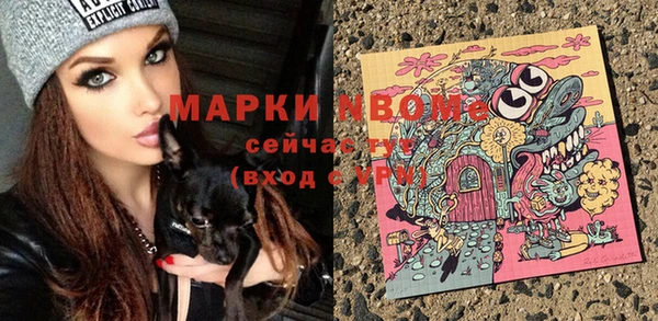 гашик Медногорск