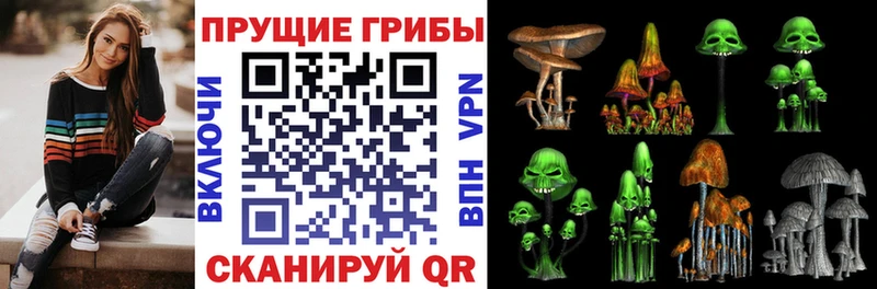 kraken рабочий сайт Ильский даркнет официальный сайт Галлюциногенные грибы Psilocybe